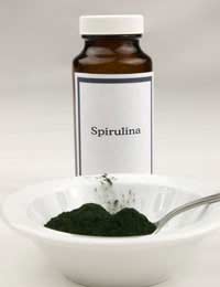 Blue-green Algae; Chlorophyll;
