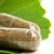 Herbal Remedies for Performance